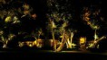 /album/servi%c3%a7os-em-jardim/a3354567-jpg/