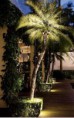 /album/ilumina%c3%a7%c3%a3o-luz-solar/casa-jardim-11-jpg/